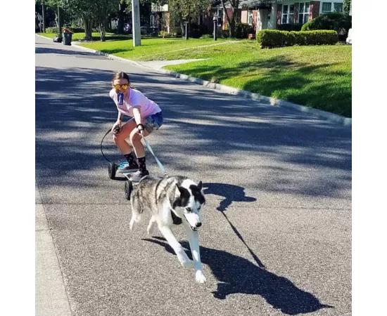 جل طاقة الشيا النباتية بنكهة التوت من هوما 24 x 43جرام