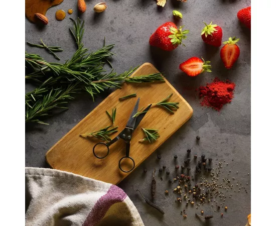  بار البروتين للطاقة بنكهة دي بيسكو  من فيلوفورت  9 x  70g