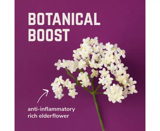 جل الطاقة الطبيعي بنكهة ريبا من فيلوفورت 9 x 33g