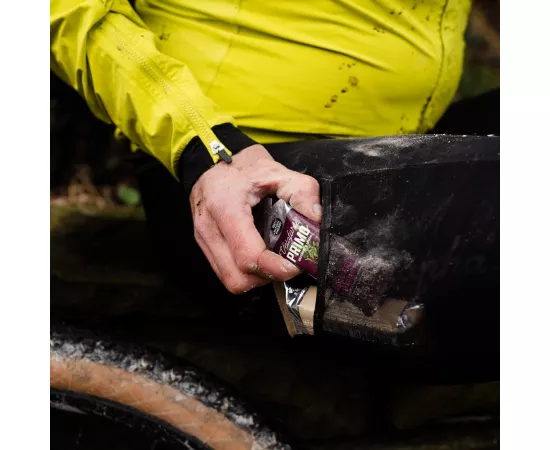 جل الطاقة بريمو الطبيعي بنكهة جذور الشمندر والليمون من فيلوفورت9 x 33g