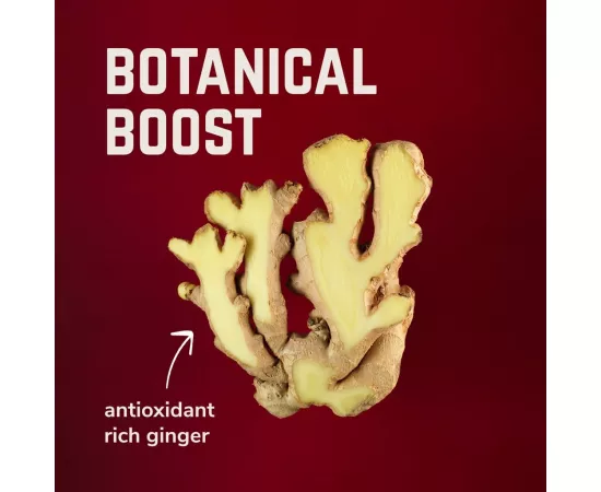 VELOFORTE Real Fruit Electrolyte Flavour Energy Gel 9 x 33g