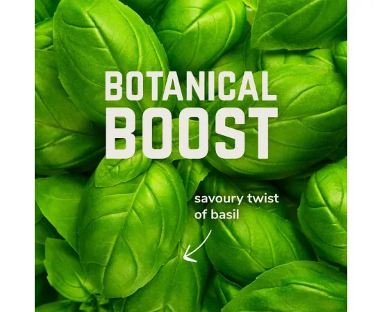  مسحوق الأملاح المعدنية أتيفو بنكهة الفراولة والنعناع من فيلوفورت   1 جرعة x 9