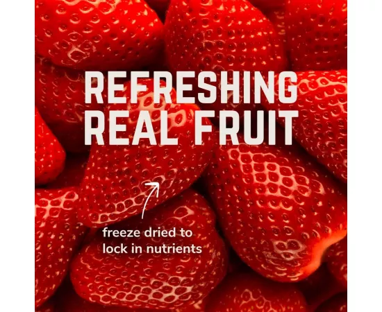  مسحوق الأملاح المعدنية أتيفو بنكهة الفراولة والنعناع من فيلوفورت   1 جرعة x 9