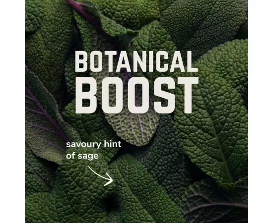 مسحوق  أملاح معدنية بنكهة المشمش سولو ساج من فيلوفورت 9  x 5جرام