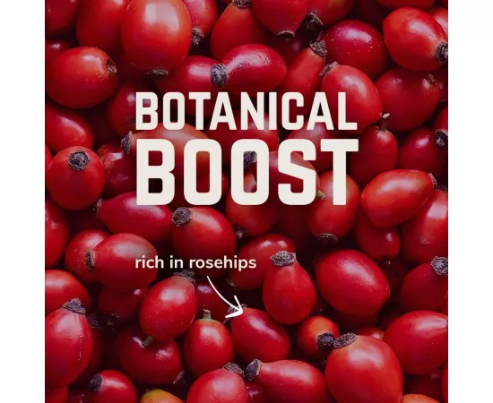   مسحوق الأملاح المعدنية فيفو بنكهة الخوخ توت العليق روز شيب من فيلوفورت 1 جرعة x 9