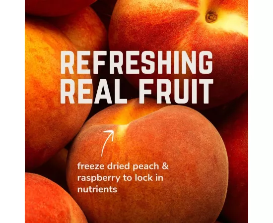   مسحوق الأملاح المعدنية فيفو بنكهة الخوخ توت العليق روز شيب من فيلوفورت 1 جرعة x 9